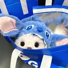 Trần Công Vinh avatar