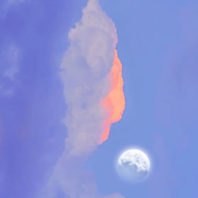 Phạm Phương Vy avatar